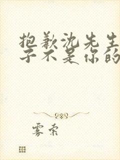 抱歉沈先生,孩子不是你的短剧连续剧观看