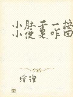 小肚子一按就想小便是咋回事