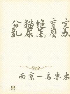 公猫绝育完还是乱尿怎么办