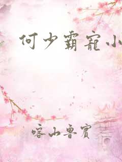 何少霸宠小娇妻