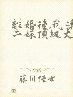 离婚后,我潇洒二嫁顶级大佬