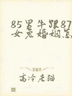85男牛跟87女兔婚姻怎么样
