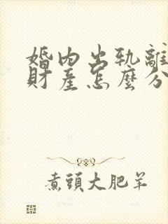 婚内出轨离婚时财产怎么分割