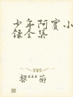 少年阿宾小说目录全集