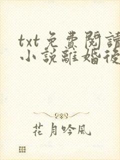 txt免费阅读小说离婚后前夫总是想追我