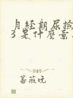 月经期尿检隐血3 是什么意思