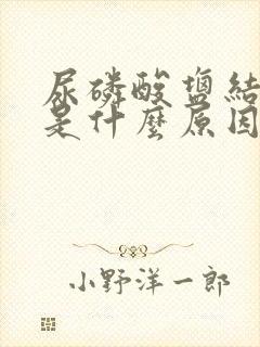 尿磷酸盐结晶高是什么原因