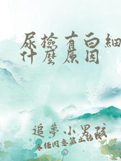 尿检有白细胞是什么原因