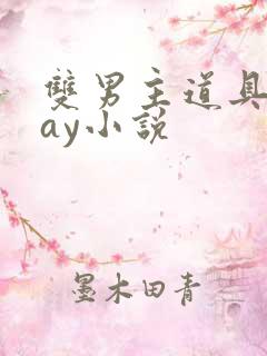 双男主道具play小说