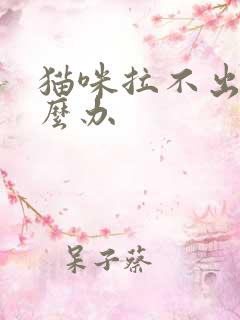 猫咪拉不出尿怎么办