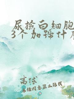 尿检白细胞酯酶3个加号什么意思