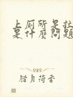 上厕所是拉出血是什么问题