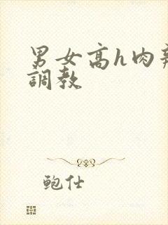 男女高h肉辣文调教