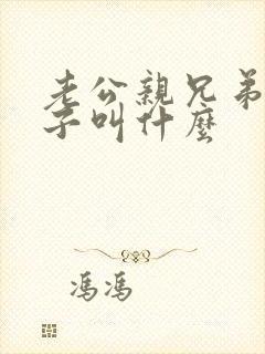 老公亲兄弟的儿子叫什么