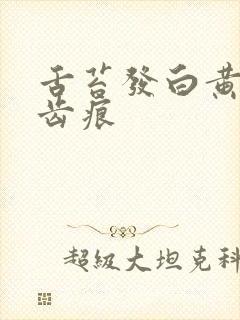 舌苔发白黄腻有齿痕