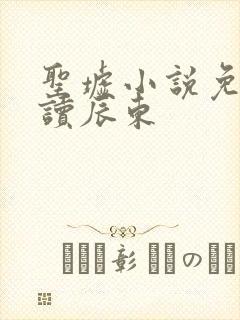 圣墟小说免费阅读辰东