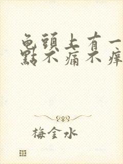 龟头上有一排红点不痛不痒