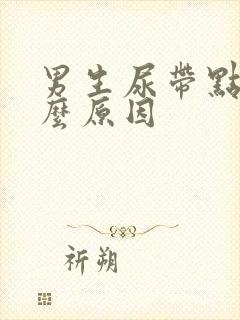 男生尿带点血什么原因