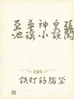 至尊神皇张若尘池瑶小说阅读