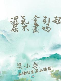 湿气会引起尿频尿不尽吗