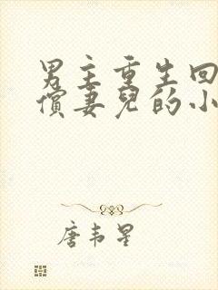 男主重生回来补偿妻儿的小说