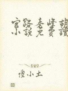 官路秦峰胡芸佳小说免费读大结局