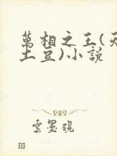 万相之王(天蚕土豆)小说