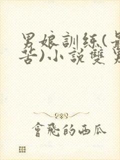 男娘训练(最痛苦)小说双男主