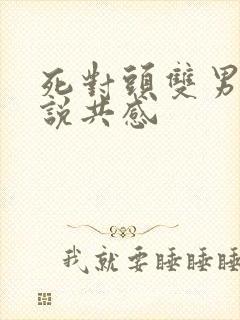 死对头双男主小说共感