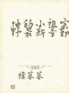 他的小祖宗甜又野最新章节txt