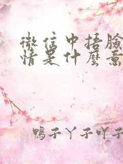 微信中捂脸的表情是什么意思