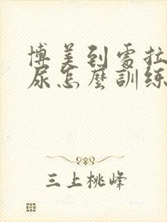 博美到处拉屎拉尿怎么训练