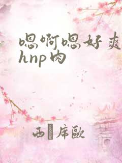 嗯啊嗯好爽啊高hnp肉