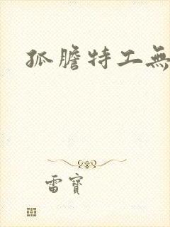 孤胆特工无删减