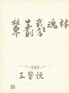 双生武魂林凡境界划分