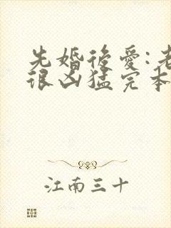 先婚后爱:老公很凶猛完本txt下载