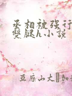 丞相被强行扒开双腿h小说