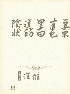 阴道里有豆腐渣状的白色东西