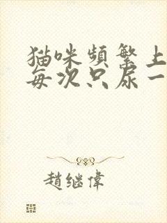 猫咪频繁上厕所每次只尿一点