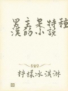 男主是特种兵糙汉的小说