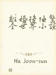 离婚后他惊艳了全世界小说版