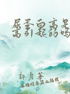 尿蛋白高是尿酸高引起的吗