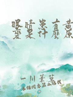 眼睛患有黄斑病变是什么原因导致的