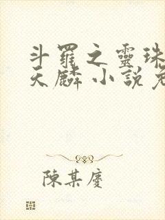 斗罗之灵珠神剑天麟 小说免费阅读