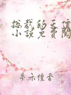 总裁的天价穷妻小说免费阅读