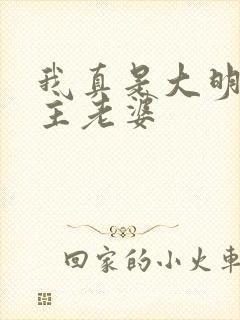 我真是大明星男主老婆