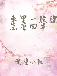 车里一股腥臭味怎么回事