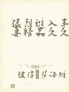 猛烈进入丰满人妻精品久久久