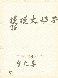 摸摸大奶子的小说