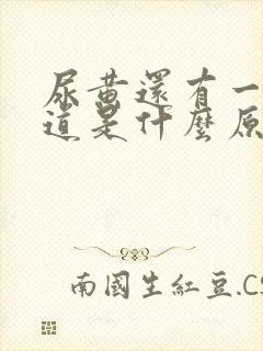 尿黄还有一股味道是什么原因